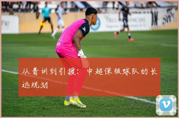 从青训到引援：中超保级球队的长远规划
