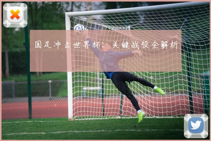 国足冲击世界杯：关键战役全解析